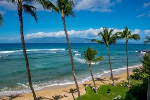 Seashell Condos - Maui Live Beach Cam 1 Maui Live Beach Cam